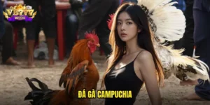 đá gà Campuchia