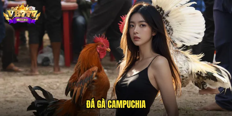 đá gà Campuchia