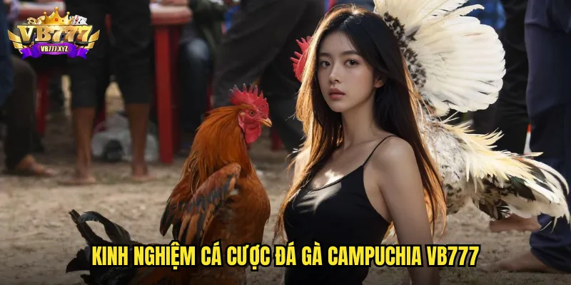 Kinh nghiệm cá cược đá gà Campuchia vb777