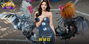 đá gà C2