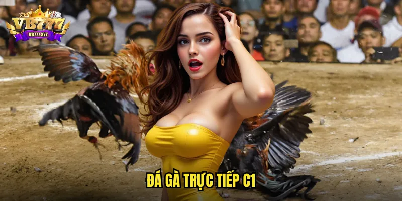 đá gà trực tiếp C1