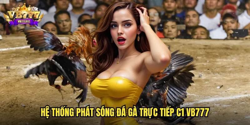 Hệ thống phát sóng đá gà trực tiếp C1 vb777