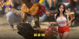 đá gà tre