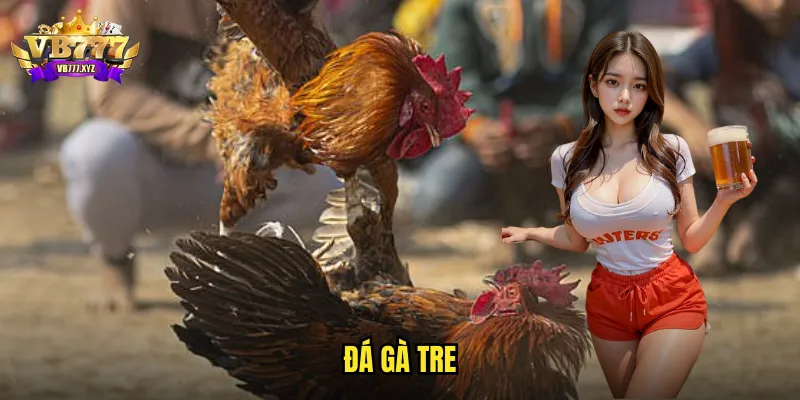 đá gà tre