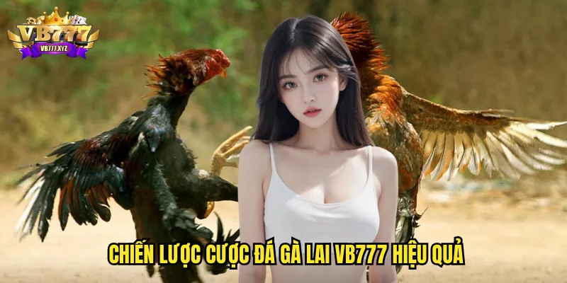 Đá gà lai vb777 - Sức mạnh lai tạo và kèo cược đỉnh cao 3 Chiến lược cược đá gà lai vb777 hiệu quả