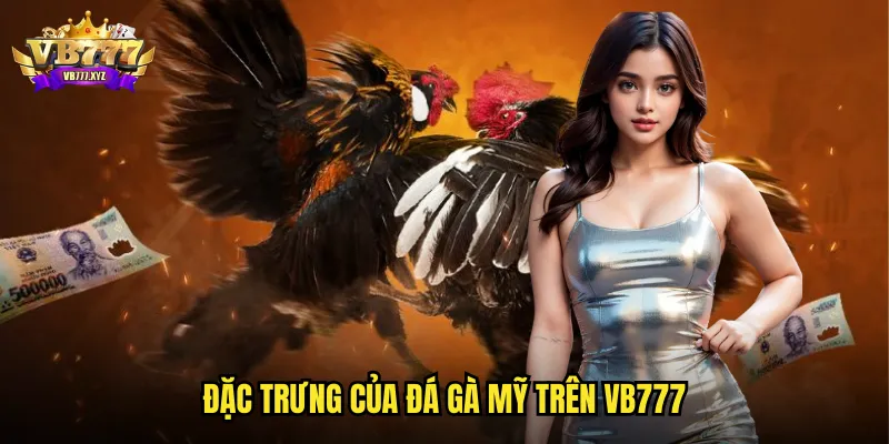 Đặc trưng của đá gà Mỹ trên vb777