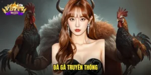 đá gà truyền thống