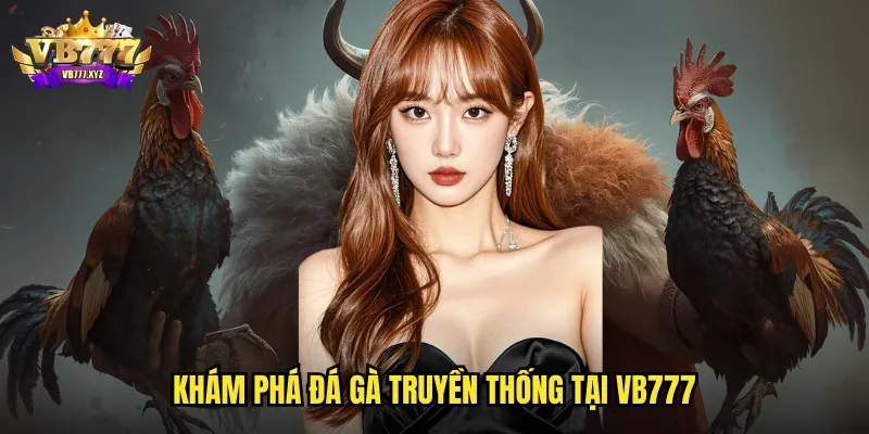 Đá gà Truyền Thống VB777: Bảo Tồn Tinh Hoa Văn Hóa Việt Trên Nền Tảng Hiện Đại 2 Khám phá đá gà truyền thống tại VB777