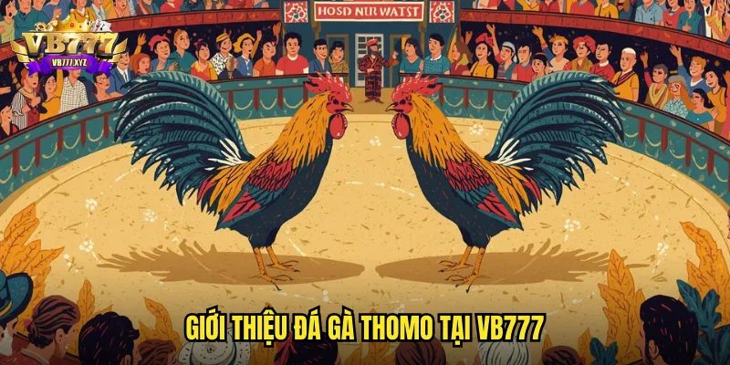 Giới thiệu đá gà thomo tại VB777