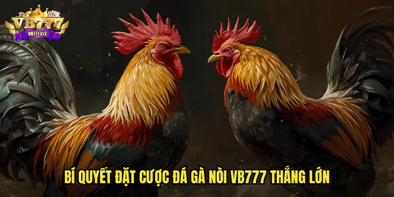 Đá gà Nòi VB777: Dòng Gà Thuần Chủng Đấu Trường Uy Tín 3 Bí quyết đặt cược đá gà nòi VB777 thắng lớn