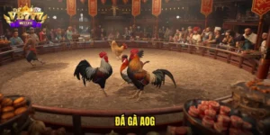 đá gà AOG