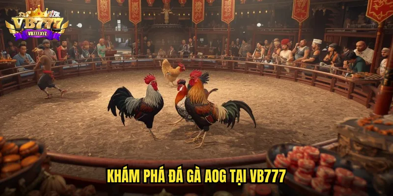 Đá gà AOG VB777: Đấu Trường Quốc Tế Trực Tuyến Đỉnh Cao 2 Khám phá đá gà AOG tại VB777