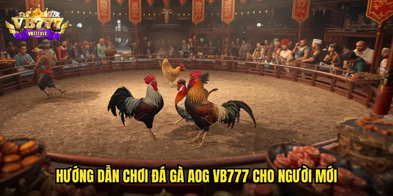 Đá gà AOG VB777: Đấu Trường Quốc Tế Trực Tuyến Đỉnh Cao 3 Hướng dẫn chơi đá gà AOG VB777 cho người mới