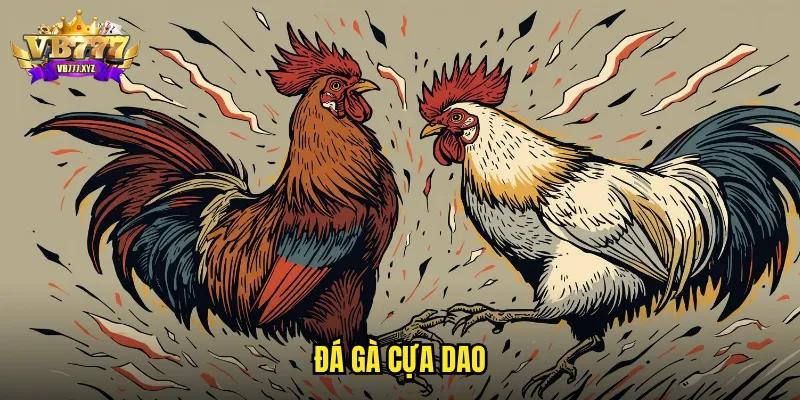 Đá gà Cựa Dao VB777: Trận Đấu Nhanh Gọn Kết Quả Tức Thì 1 đá gà cựa dao