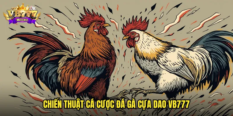 Đá gà Cựa Dao VB777: Trận Đấu Nhanh Gọn Kết Quả Tức Thì 3 Chiến thuật cá cược đá gà cựa dao vb777