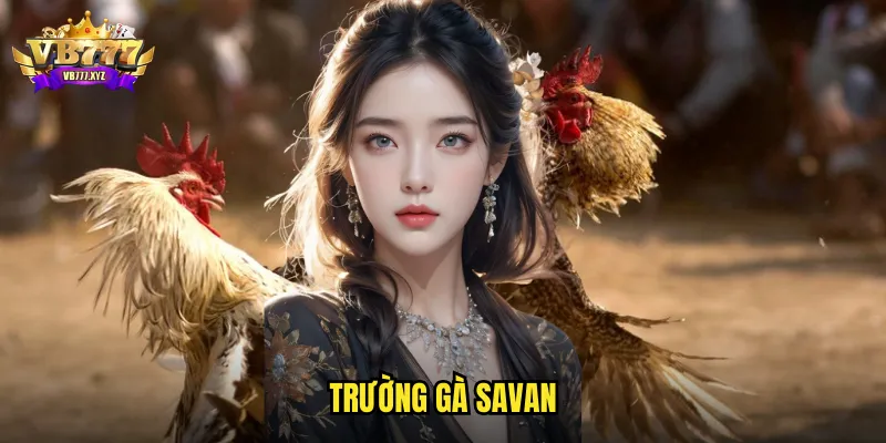 Trường Gà Savan VB777: Đấu Trường Lào Nổi Danh Châu Á 1 trường gà Savan