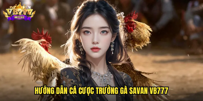 Trường Gà Savan VB777: Đấu Trường Lào Nổi Danh Châu Á 3 Hướng dẫn cá cược trường gà Savan VB777