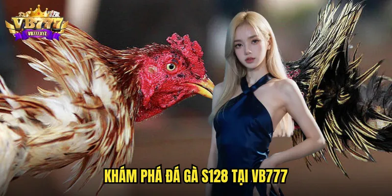 Khám phá đá gà S128 tại VB777