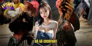 đá gà Cockfight